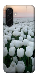Чехол на Samsung Galaxy A26 5G Flowers v1 фото 1 Чехол на Samsung Galaxy A26 5G Flowers v1 фото 1 из 1