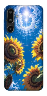 Чохол на Samsung Galaxy F16 Sunflowers фото 1 з 1