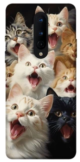 Чохол на OnePlus 8 Коти фото 1 з 1