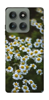 Чехол на Motorola Edge 60 Pro Ромашки v13 фото 1 из 1