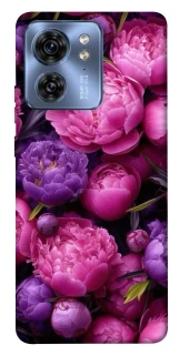 Чехол на Motorola Edge 40 Garden2 фото 1 из 1