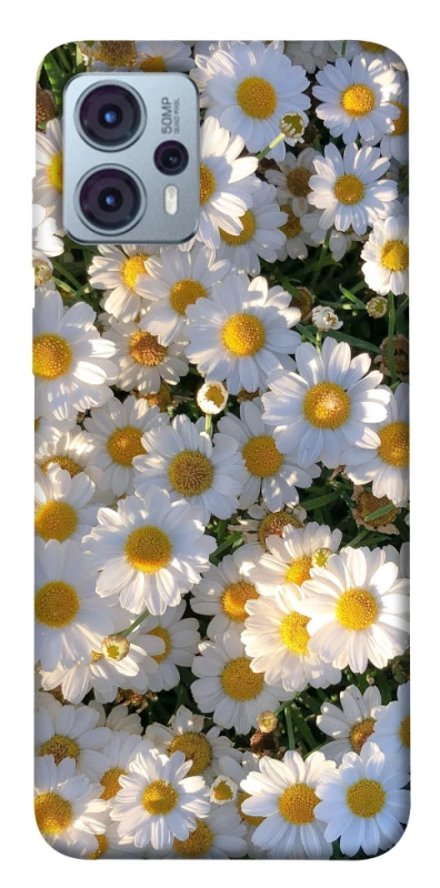 Чохол на Motorola Moto G23 Поле ромашок фото 1 з 1