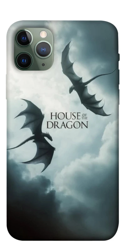 Чехол на Apple iPhone 11 Pro (5.8") House of the Dragon ver.5 фото 1 из 1