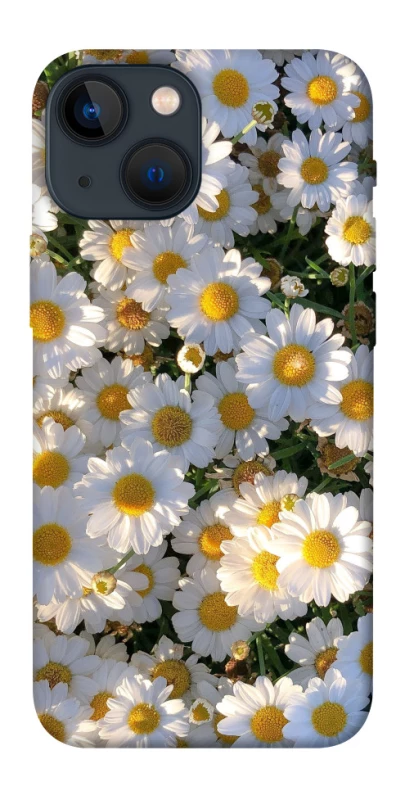 Чохол на Apple iPhone 13 mini (5.4") Поле ромашок фото 1 з 1