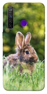 Чехол на Realme 5 Pro Кролики фото 1 из 1
