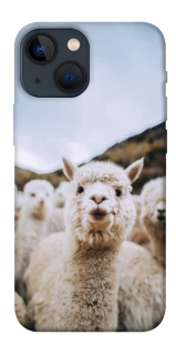 Чохол на Apple iPhone 13 mini (5.4") Лама фото 1 з 1