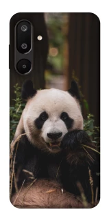 Чехол на Samsung Galaxy M16 5G Панда фото 1 из 1