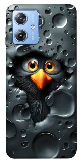 Чехол на Motorola Moto G84 Ну привет ! фото 1 из 1