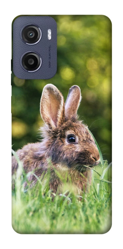 Чехол на Motorola Moto G05 Кролики фото 1 из 1