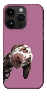 Чохол на Apple iPhone 14 Pro (6.1") А що тут фото 1 з 1