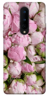 Чехол на OnePlus 8 Nature’s Elegance фото 1 из 1