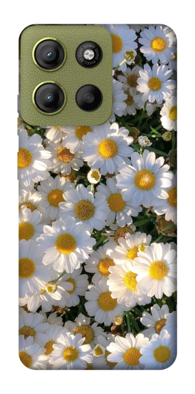 Чехол на Motorola Moto G15 4G Поле ромашек фото 1 из 1