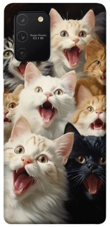 Чохол на Samsung Galaxy S10 Lite Коти фото 1 з 1