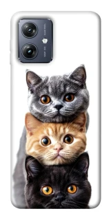 Чохол на Motorola Moto G54 Гарні котики фото 1 з 1