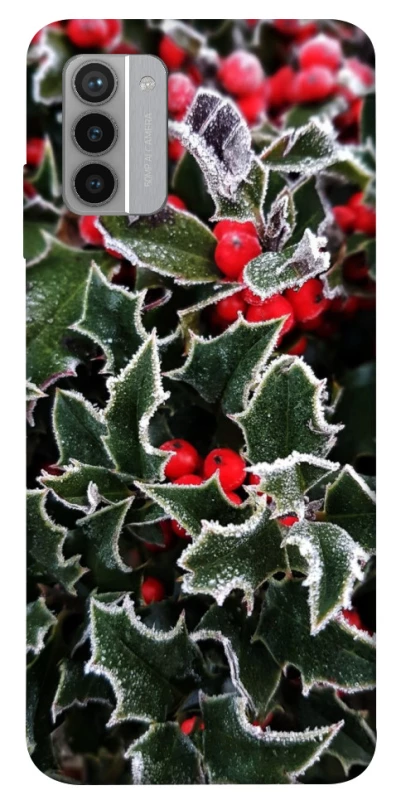 Чехол на Nokia G42 Новогодний v32 фото 1 из 1