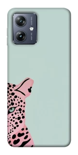 Чохол на Motorola Moto G54 Leopard Art фото 1 Чохол на Motorola Moto G54 Leopard Art фото 1 з 1