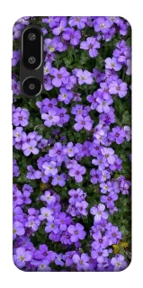 Чехол на Samsung Galaxy F16 Flowers v17 фото 1 из 1