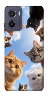 Чехол на Motorola Moto G05 Cats фото 1 из 1