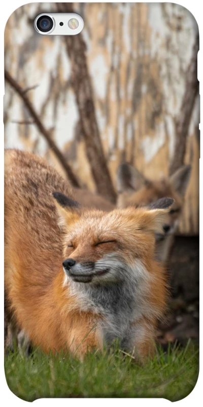 Чехол на Apple iPhone 6/6s plus (5.5") Лиса фото 1 из 1