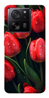 Чохол на Xiaomi 13T Червоні тюльпани фото 1 з 1