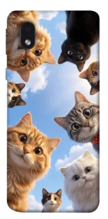 Чехол на Samsung Galaxy M01 Core / A01 Core Cats фото 1 из 1