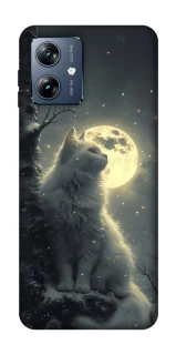 Чохол на Motorola Moto G54 Power Кіт під місяцем фото 1 з 1