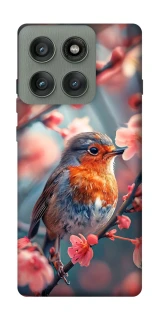 Чехол на Motorola Edge 60 Pro Birdie фото 1 из 1