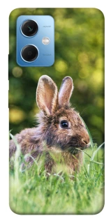 Чехол на Xiaomi Redmi Note 12 5G Кролики фото 1 из 1