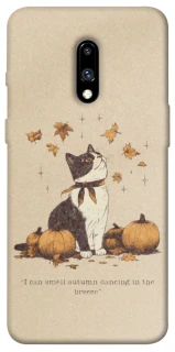 Чехол на OnePlus 7 Autumn vibes ver.3 фото 1 из 1