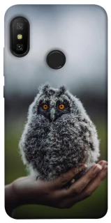 Чехол на Xiaomi Mi A2 Lite / Xiaomi Redmi 6 Pro Совёнок фото 1 из 1