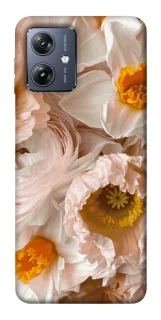 Чохол на Motorola Moto G54 Botanical Bliss фото 1 Чохол на Motorola Moto G54 Botanical Bliss фото 1 з 1