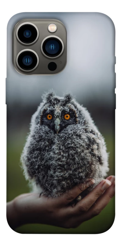 Чохол на Apple iPhone 13 Pro (6.1") Совеня фото 1 з 1