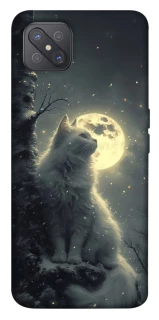 Чохол на Oppo A92s Кіт під місяцем фото 1 з 1