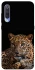 Чохол на Xiaomi Mi 9 Leopard v4 фото 1 з 1