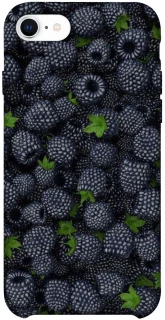 Чохол на Apple iPhone SE (2020) Fresh фото 1 з 1