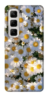 Чохол на Infinix Hot 50 4G Поле ромашок фото 1 з 1