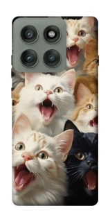 Чохол на Motorola Edge 60 Pro Коти фото 1 з 1