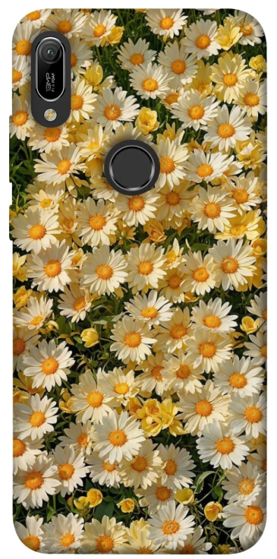 Чохол на Huawei Y6 (2019) Camomile фото 1 з 1