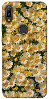 Чохол на Huawei Y6 (2019) Camomile фото 1 з 1