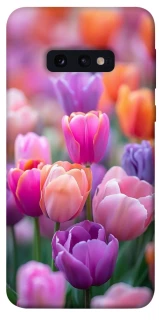 Чохол на Samsung Galaxy S10e Тюльпанове поле фото 1 з 1