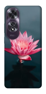 Чохол на Oppo A60 Лотос фото 1 з 1