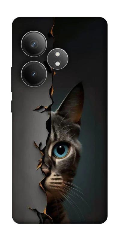Чехол на Realme GT Neo 6 SE Кот-подглядыватель v2 фото 1 из 1