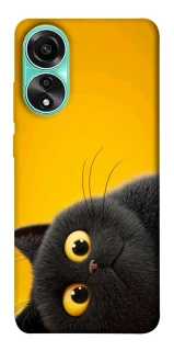 Чохол на Oppo A78 4G This is Cat фото 1 з 1