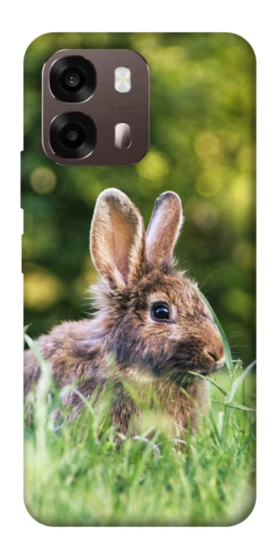 Чехол на Oppo A6 Кролики фото 1 из 2