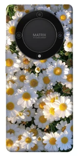 Чохол на Huawei Magic5 Lite Поле ромашок фото 1 з 1