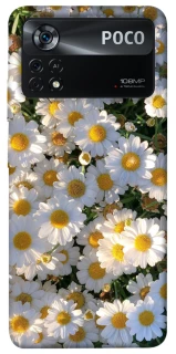 Чохол на Xiaomi Poco X4 Pro 5G Поле ромашок фото 1 з 1