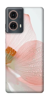 Чохол на Motorola Moto G85 Flowers zon фото 1 Чохол на Motorola Moto G85 Flowers zon фото 1 з 1