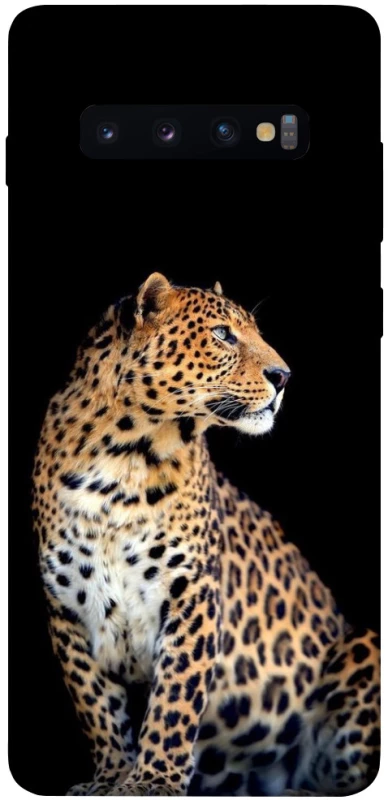 Чехол на Samsung Galaxy S10+ Leopard v2 фото 1 из 1