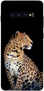 Чохол на Samsung Galaxy S10+ Leopard v2 фото 1 з 1