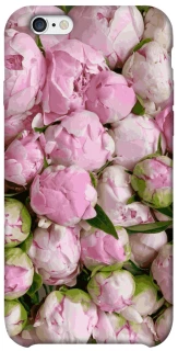 Чохол на Apple iPhone 6/6s (4.7") Nature’s Elegance фото 1 з 1